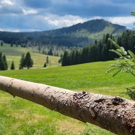 Πανσιόν Helena Honesova