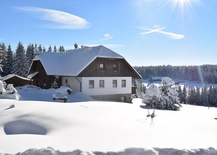 Helena Honesová Penzion Horska Kvilda