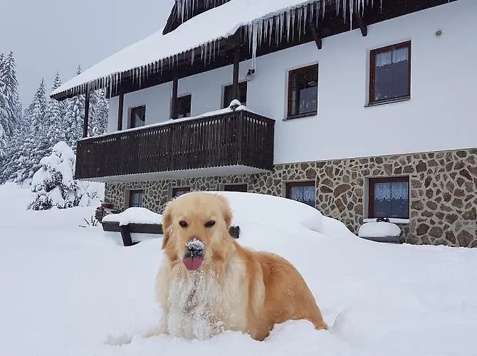 Penzion Helena Honesová 3*