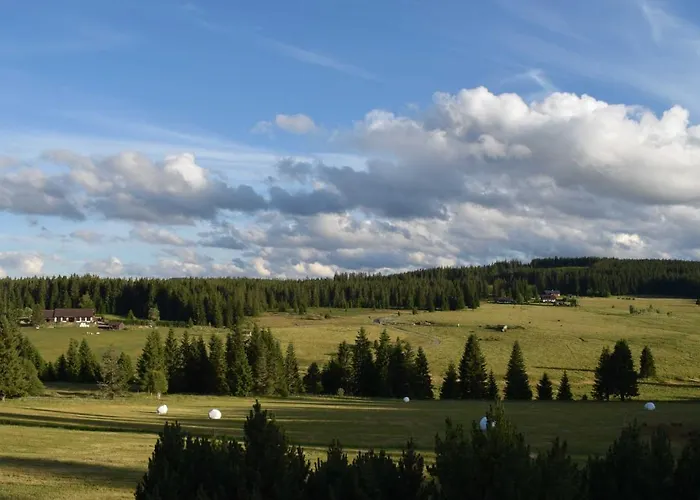 Helena Honesová 3*