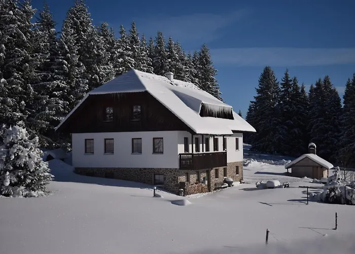 Helena Honesová Penzion Horska Kvilda