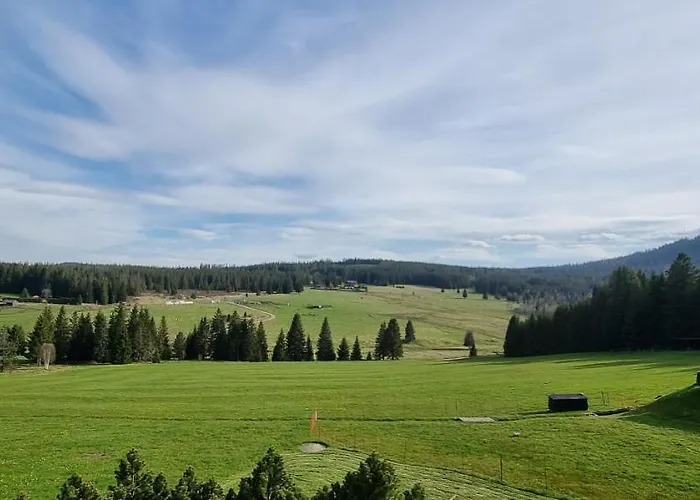 Helena Honesová Penzion Horska Kvilda